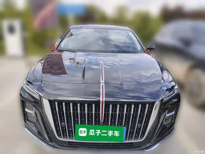 2025 Hongqi H5 1.5T DCT Flag Rhythm 500,000 Units Memorial Edition, фото 2, лот 11217495