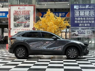 2022 Mazda CX-30 2.0L Automatic Quality Joy Model, фото 4, лот 10803836