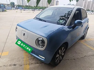 2021 Ora Black Cat 351km Luxury Model, фото 1, лот 10389583