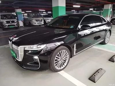 2020 Hongqi H9 2.0T Smart Connection Qi Chang Edition, фото 1, лот 11007026