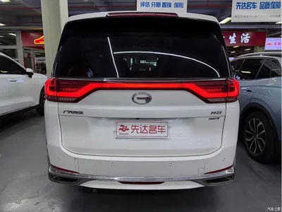 2021 GAC Trumpchi Trumpchi M8 Leading Show Series 390T Premium Edition, фото 4, лот 10418967