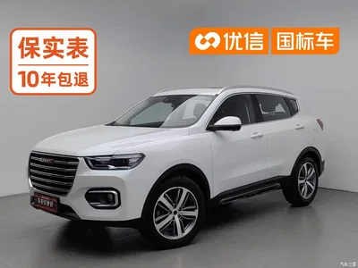 2019 Haval H6 Red Label 1.5GDIT Automatic Luxury Smart Connect Edition, фото 1, лот 10402956