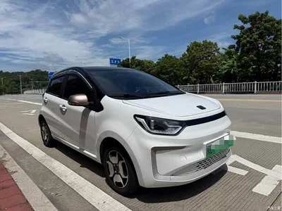 2021 Sehol Flower Fairy 302km Surpass Edition 31.4kWh, фото 3, лот 11153495