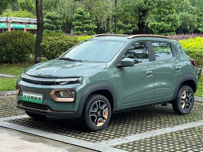2022 Dongfeng Yipai Nano BOX Breeze Edition 201KM Standard, фото 1, лот 11197885