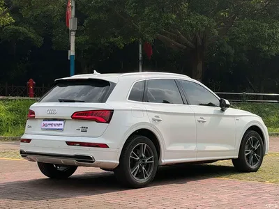 2020 Audi Q5L 45 TFSI Exclusive Fashion, фото 3, лот 11361257