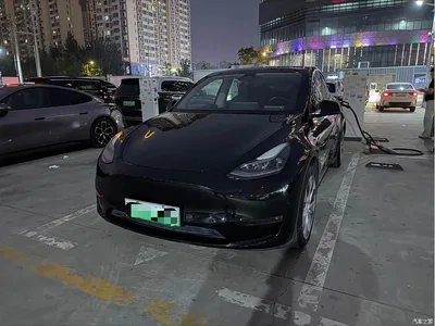 2021 Tesla Model Y Standard Range Rear-Wheel Drive, фото 1, лот 10397120