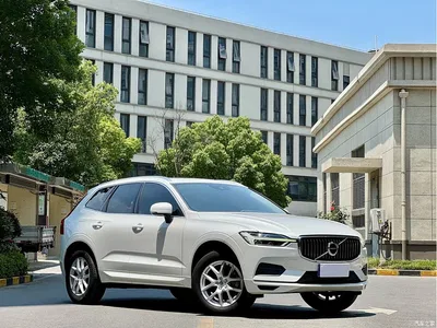 2019 Volvo XC60 T5 4WD Intelligent Ease China VI, фото 3, лот 10434622