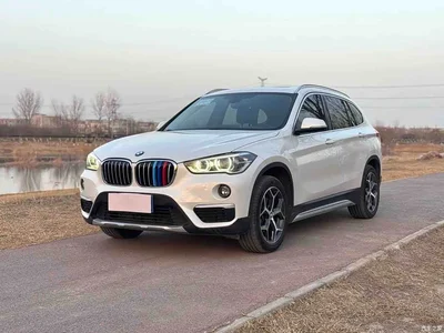 2019 BMW X1 sDrive18Li Premium Model, фото 1, лот 11195294