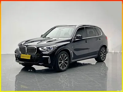 2022 BMW X5 Facelift xDrive 30Li Premium M Sport Package, фото 1, лот 10418267