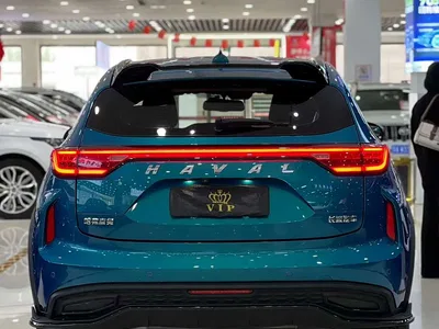 2021 Haval Chitu Boost Edition 1.5T Platinum Rabbit, фото 4, лот 11206438