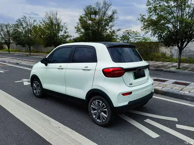 2024 Leapmotor T03 310 Comfort Edition, фото 3, лот 10445601