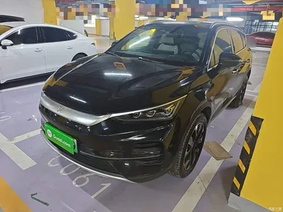 2024 BYD Tang New Energy EV Glory Edition 730KM Premium, фото 1, лот 10272570