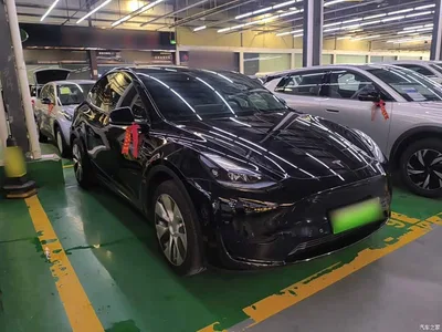 2022 Tesla Model Y Facelift Rear-Wheel Drive Version, фото 4, лот 10369889