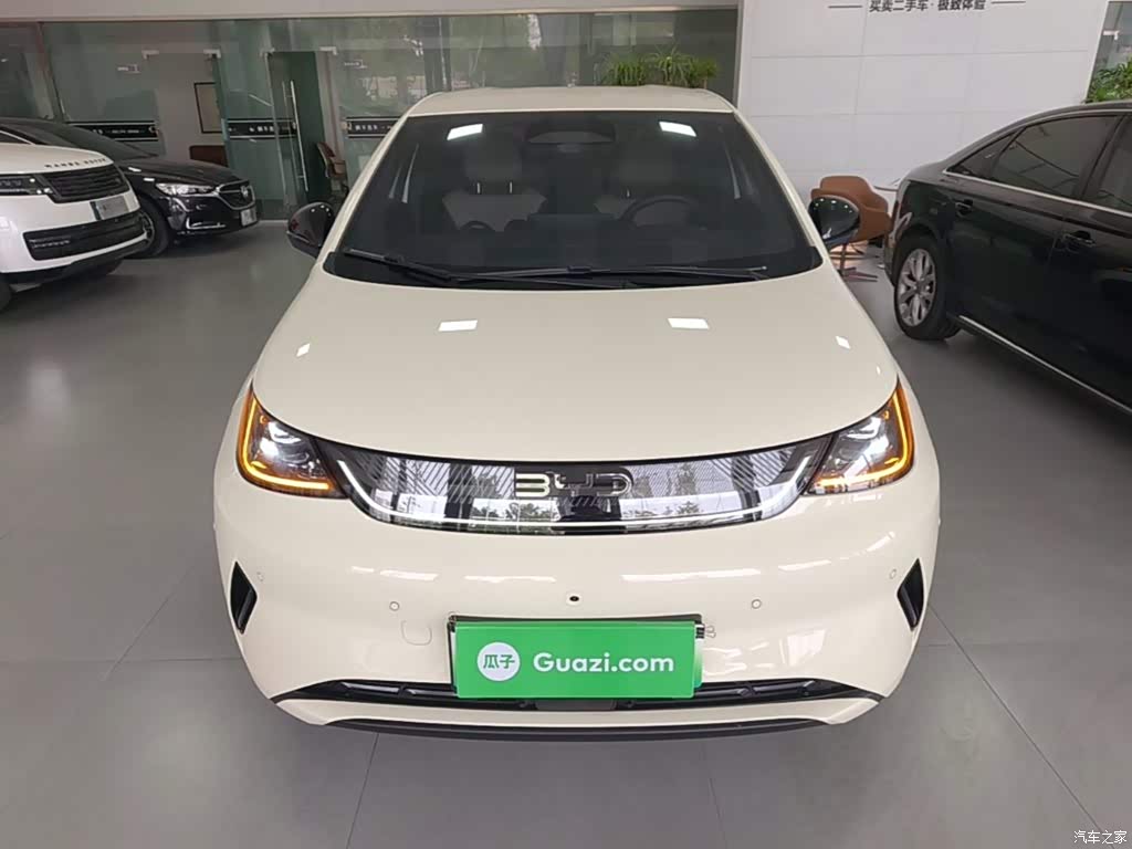 2025 BYD Dolphin Smart Drive Edition 420km Freedom Version, фото 3, лот 11219592