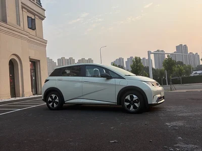 2025 BYD Dolphin 420km Freedom Edition, фото 4, лот 10254353