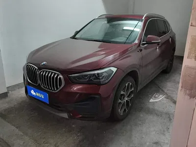 2021 BMW X1 sDrive25Li Leading, фото 1, лот 11202057