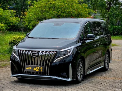 2021 GAC Trumpchi Trumpchi M8 Master Series 390T Ultimate Edition, фото 1, лот 10417665