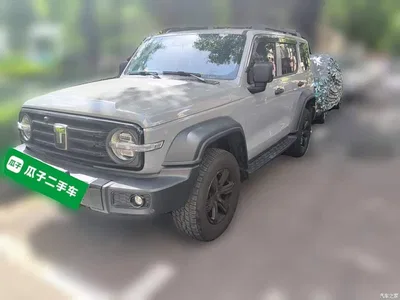 2021 Tank 300 Off-road Version 2.0T Conqueror, фото 1, лот 10345422