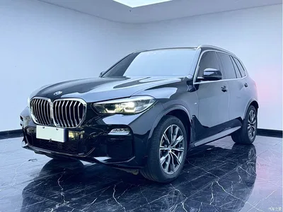 2021 BMW X5 (Import) xDrive30i M Sport Package, фото 1, лот 10432099