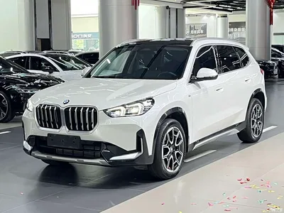 2024 BMW X1 sDrive25Li X Design Package, фото 1, лот 10632480