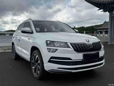 2023 Škoda Karoq TSI280 Luxury Edition, фото 3, лот 10625946