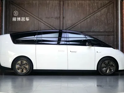 2025 Li Auto MEGA Model Home Family Special Edition, фото 4, лот 10443920