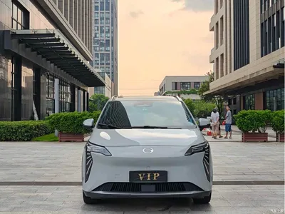 2022 Aion Y Plus 70 Enjoyment Edition, фото 2, лот 10481210