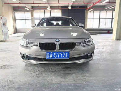2017 BMW 3 Series 320Li Fashion, фото 2, лот 10457124