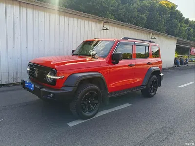 2021 Tank 300 Off-road Version 2.0T Conqueror, фото 1, лот 10344271