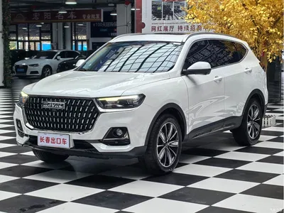 2023 Haval H6 National Trend Edition 1.5T Automatic Champion, фото 1, лот 11538168