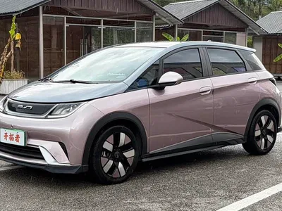 2021 BYD Dolphin 401km Knight Edition, фото 1, лот 11017678
