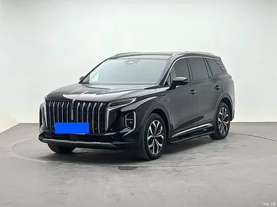 2023 Hongqi HS7 2.0T Auto 4WD Qi Chang Edition 6-Seater, фото 1, лот 11580221