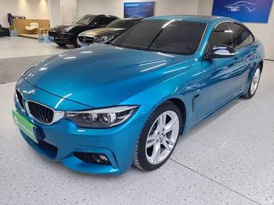 2017 BMW 4 Series 425i Gran Coupe Leading M Sport Package, фото 2, лот 10468824