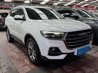 2021 Haval H6 Model National Trend Edition 1.5T Auto Champion, фото 3, лот 10283551
