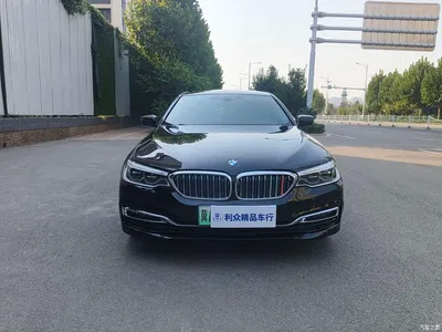 2019 BMW 5 Series New Energy 530Le Luxury Package, фото 2, лот 11449001