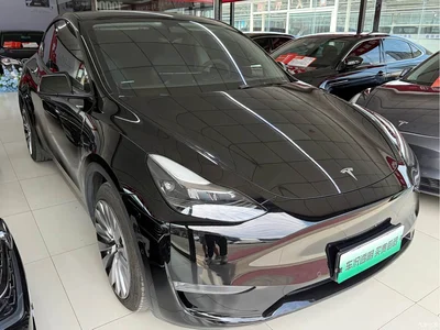 2021 Tesla Model Y Standard Range Rear-Wheel Drive, фото 3, лот 10405591