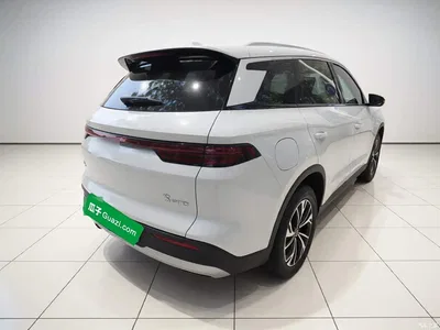 2025 BYD Song Pro New Energy 2nd Gen DM-i 75KM Leading Type, фото 4, лот 11386983