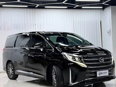 2023 GAC Trumpchi Trumpchi M8 Leading Series 390T Prestige Edition, фото 3, лот 11180687