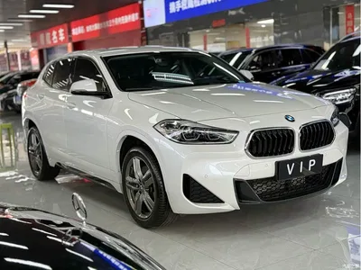 2022 BMW X2 sDrive25i M Sport Package, фото 3, лот 10237756