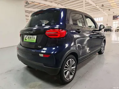 2020 Leapmotor T03 400 Luxury Edition, фото 4, лот 10894661