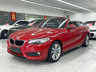 2017 BMW 2 Series (Import) 220i Convertible Coupe Leading, фото 1, лот 10428901
