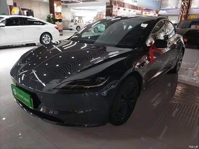 2025 Tesla Model 3 Model Rear-Wheel Drive Edition, фото 1, лот 11502585
