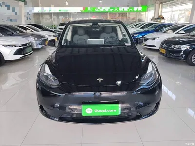 2023 Tesla Model Y Rear-Wheel Drive Edition, фото 3, лот 10370328
