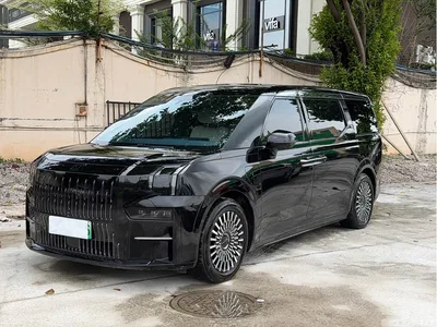2022 ZEEKR 009 WE Edition, фото 1, лот 10291241