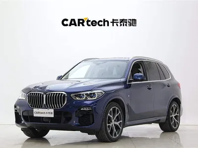 2019 BMW X5 (Import) xDrive40i Exclusive M Sport Package, фото 1, лот 10237897