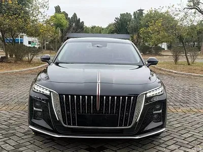 2023 Hongqi H5 2.0T Auto Smart Connect Flag Comfort, фото 2, лот 10288899