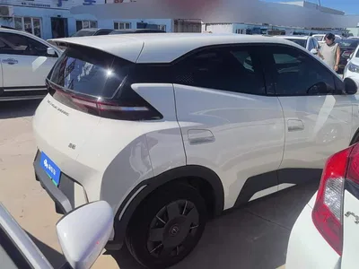 2024 BYD Seagull Glory Edition 305km Vitality Edition, фото 3, лот 10253278