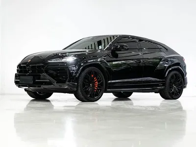 2025 Lamborghini Urus SE 4.0T Standard Edition, фото 1, лот 10459940