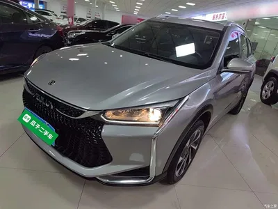 2020 Dongfeng Aeolus Yixuan GS 230T Auto Yuemu Edition, фото 2, лот 10414691