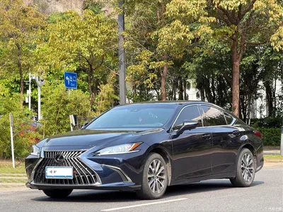 2023 Lexus ES 200 Excellence Edition, фото 1, лот 10313684